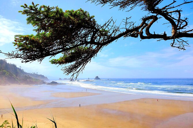 Full-Day Guided Oregon Coast Tour from Portland - Ecola State Park: Ecola Point Ocean Drama and Wildlife Odds