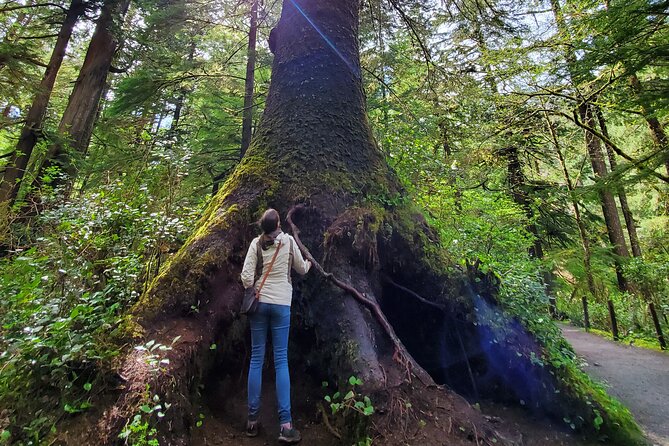 Full-Day Guided Oregon Coast Tour from Portland - Haystack Rock: Sea Bird Nesting, Tide Pools, and the Low Tide Moment