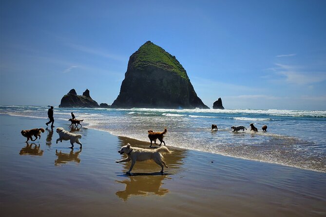 Full-Day Guided Oregon Coast Tour from Portland - Hug Point State Park and Oswald West Short Sands: Cave Views and the Walk to the Beach