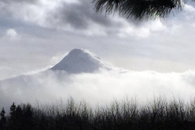 Full-Day Mt Hood Waterfall Tour with Lunch and Wine Included - How the day runs, Sandy River to Columbia Gorge icons