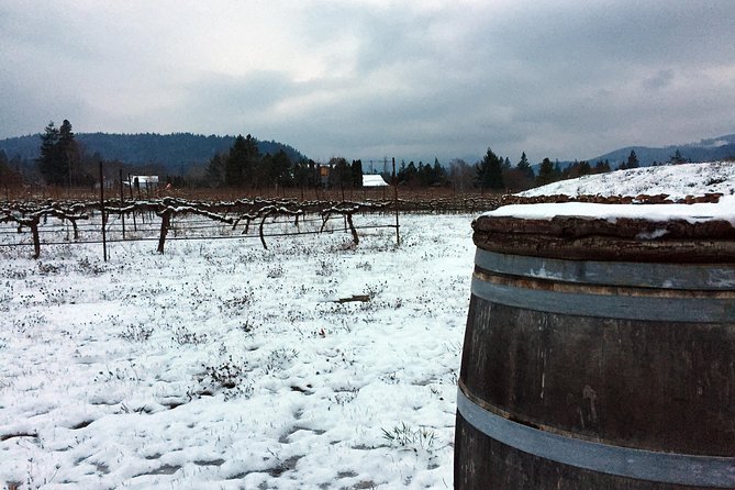Full-Day Mt Hood Waterfall Tour with Lunch and Wine Included - Hood River vineyards and lunch, where the day slows down