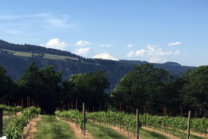 Full-Day Mt Hood Waterfall Tour with Lunch and Wine Included - Mt. Hood viewpoints and Timberline Lodge, the classic finish