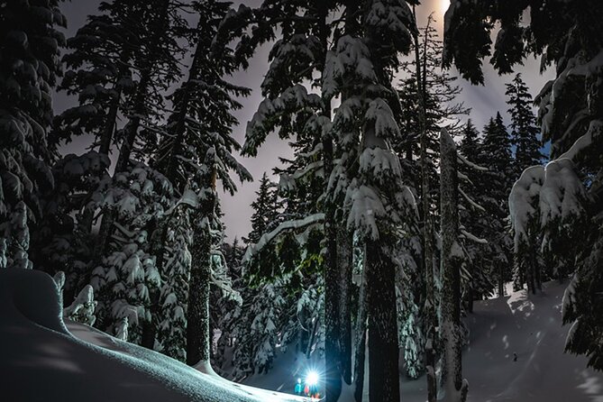 Moonlight Snowshoe Hike - Cocoa, snacks, and the real reason you’ll remember this stop