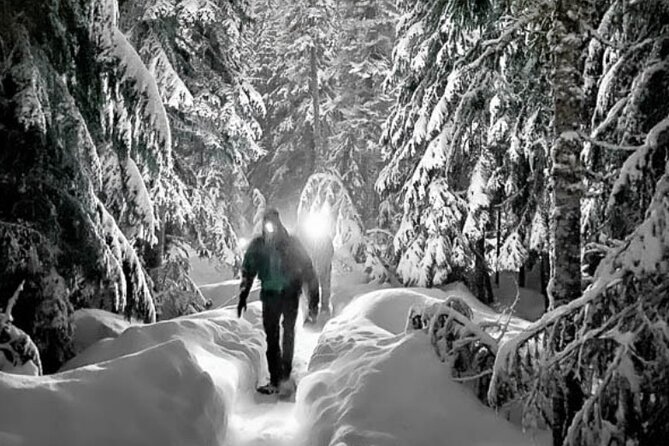 Moonlight Snowshoe Hike - Value and price: why $0.00 can still be a smart deal