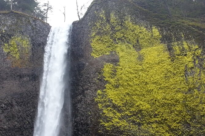Morning Multnomah Falls and Gorge Waterfalls Tour - Latourell Falls: Columnar Basalt and the Punch-Bowl Pool