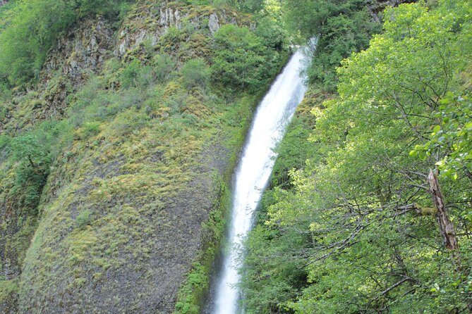 Morning Multnomah Falls and Gorge Waterfalls Tour - Who This Tour Fits Best (and Who Might Want Something Else)