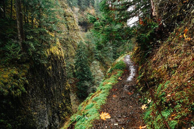 Mount Hood Loop Scenic Drive Self Guided Audio Tour - Corbett and the gorge approach: why you skip the interstate