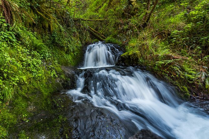 Mount Hood Loop Scenic Drive Self Guided Audio Tour - Angel’s Rest and Wahkeena: short distance, serious payoff