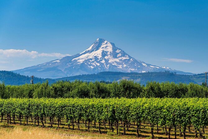 Mt. Hood Loop Tour from Portland - Key things that make this Mt Hood Loop tour worth your time