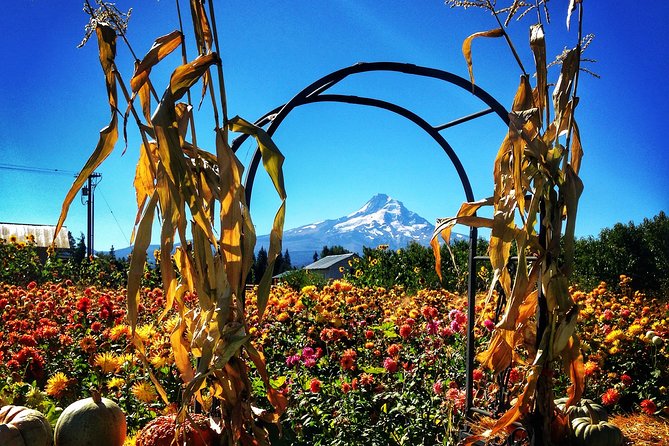 Mt Hood Loop Tour including Multnomah Falls - Rowena Crest viewpoint and the Columbia River Highway’s switchback story
