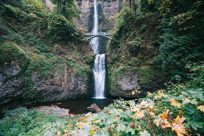 Mt Hood, Waterfalls, and Wine Tour - Hotel Pickup and the Sprinter Van Rhythm