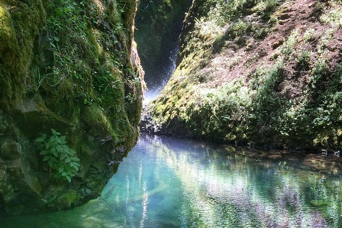 Multnomah Falls and Columbia River Gorge Half-Day Hiking Tour - Why the Columbia River Gorge works as a half-day waterfall tour