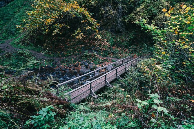 Multnomah Falls and Columbia River Gorge Waterfalls Tour Morning - Horsetail Falls: Finishing With a 176-Foot Roar