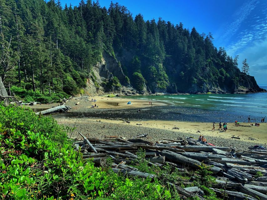 Oregon Coast Day Tour: Cannon Beach and Haystack Rock - Cannon Beach time: where lunch and shopping actually fit
