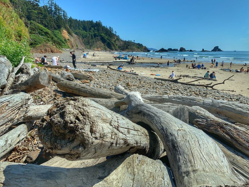 Oregon Coast Day Tour: Cannon Beach and Haystack Rock - Short Sand Beach at Oswald West State Park: rainforest meets sand