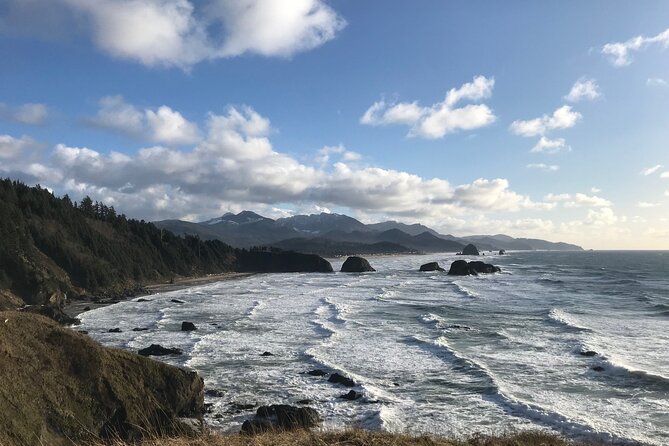 Oregon Coast Scenic Day Tour - Oregon Coast in one long day: what you are really buying