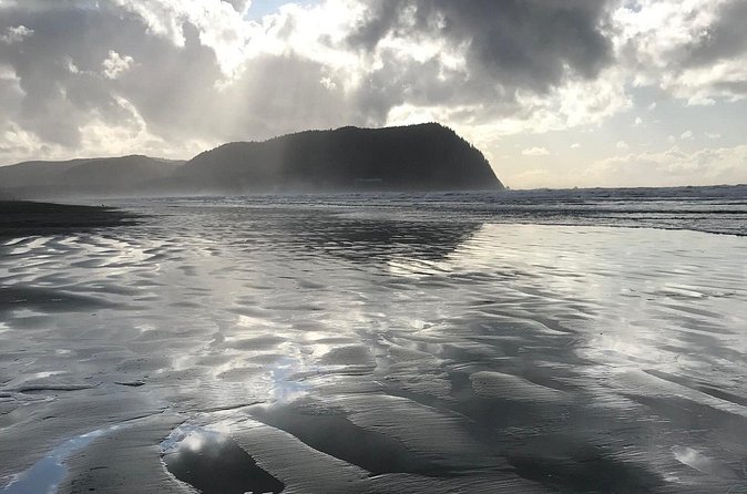 Oregon Coast Scenic Day Tour - Ecola State Park viewpoint walk: wildlife chances and big coastal photos