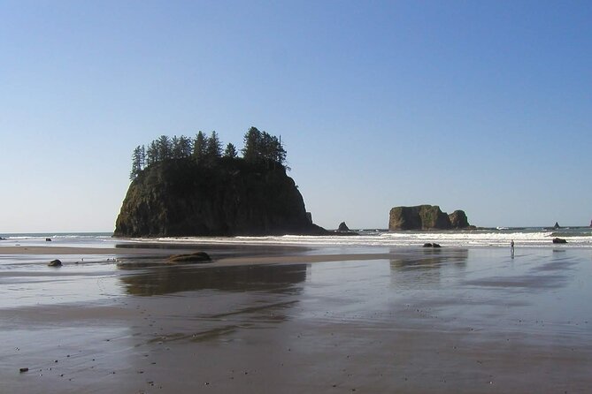 Oregon Coast Scenic Day Tour - What to wear and pack for this coastal route