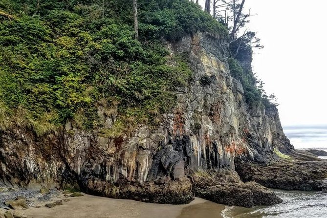 Oregon Coast Tour and Wine Tasting From Portland- Full Day Tour - Manzanita Point: seven outlooks and 500-foot drops