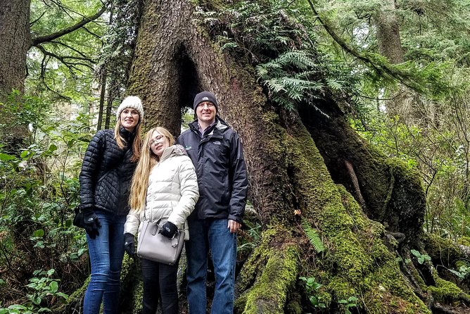 Oregon Coast Tour and Wine Tasting From Portland- Full Day Tour - Lunch at Wayfarer in Cannon Beach: plan to pay for your meal