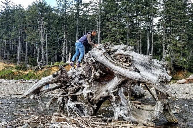 Oregon Coast Tour and Wine Tasting From Portland- Full Day Tour - Wine tasting component: what matters when alcohol meets a coast day