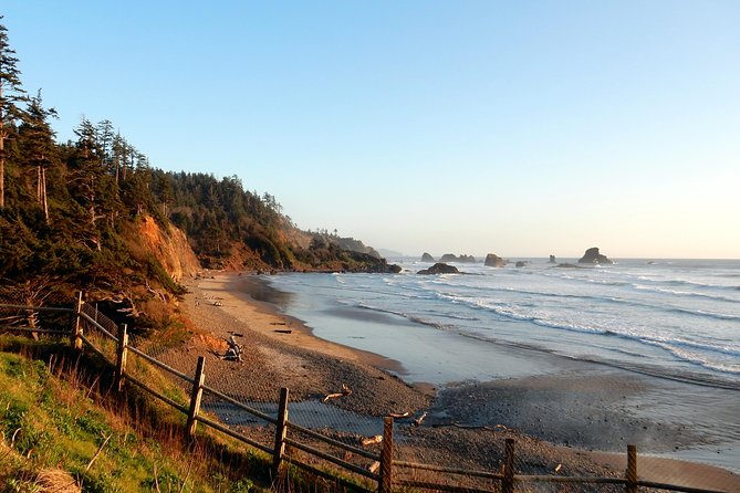 Oregon Coast Tour from Portland - Highway 101 Southbound: Scenic Stops That Break Up the Drive