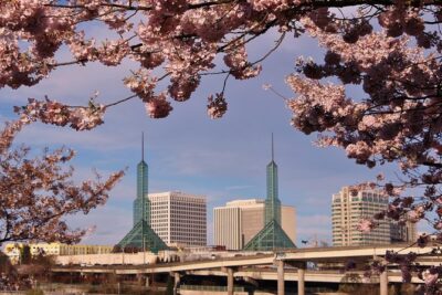 Portland Afternoon City Tour