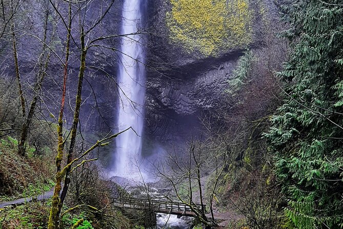 Portland City & Columbia Gorge Waterfalls: Our two best tours! - International Rose Test Garden: roses plus a Mt. Hood view