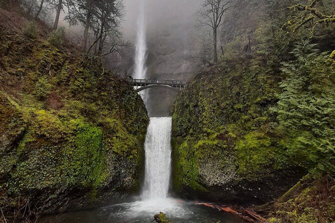 Portland City & Columbia Gorge Waterfalls: Our two best tours! - The Columbia River Gorge: wide views with real context