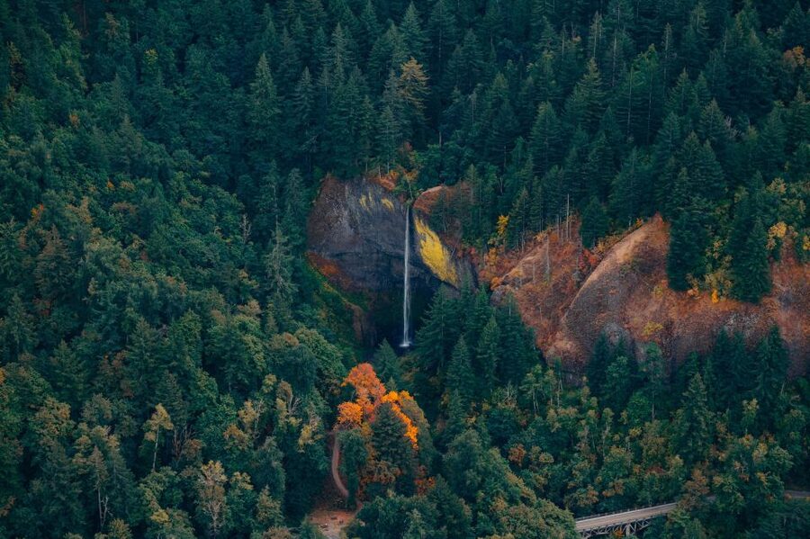 Portland: Columbia Gorge Waterfalls 40-Minute Scenic Flight - Group size, comfort, and the rules you should plan around