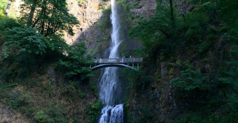 Portland: Columbia River Gorge 3-Hour Small Group Tour - Director Park to the Gorge: why the timing works