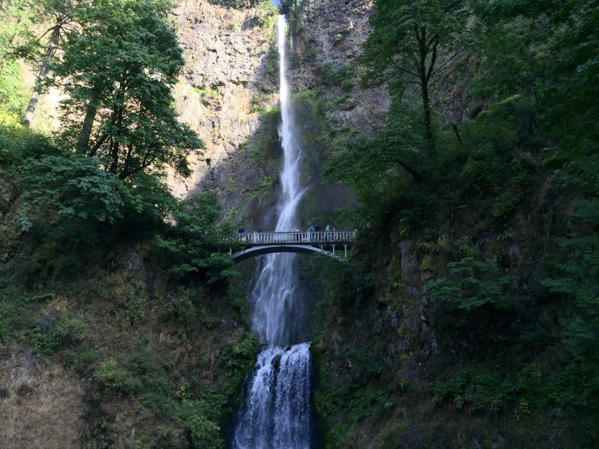 Portland: Columbia River Gorge 3-Hour Small Group Tour - Cathedral Falls: the rainforest walk that feels like a storybook