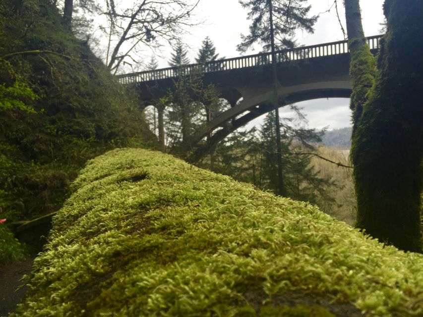 Portland: Columbia River Gorge 3-Hour Small Group Tour - Guides and the small-group advantage you can feel