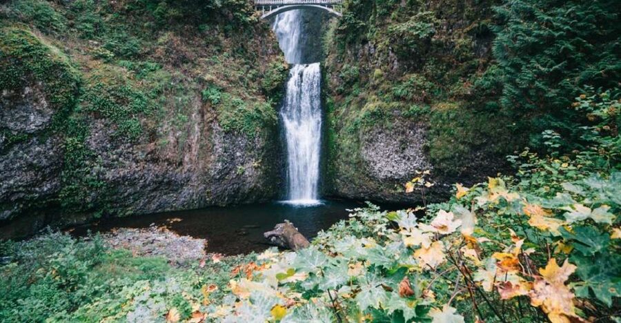 Portland: Columbia River Gorge Waterfalls Afternoon Tour - Columbia River Gorge National Scenic Area: the story your guide ties together