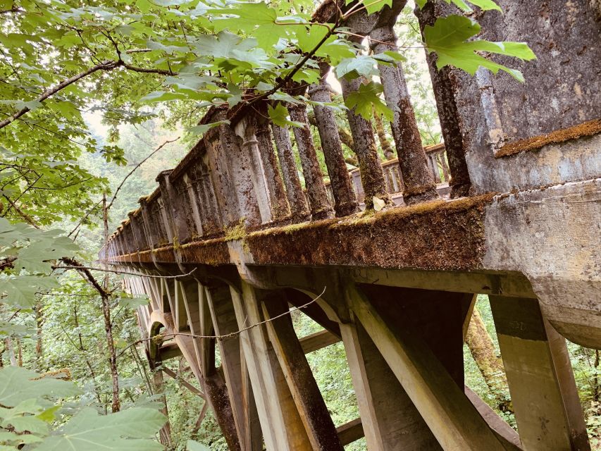 Portland: Columbia River Gorge Waterfalls Morning Tour - Scenic Highway Driving, Plus the Gorge’s Photo-Ready Stops