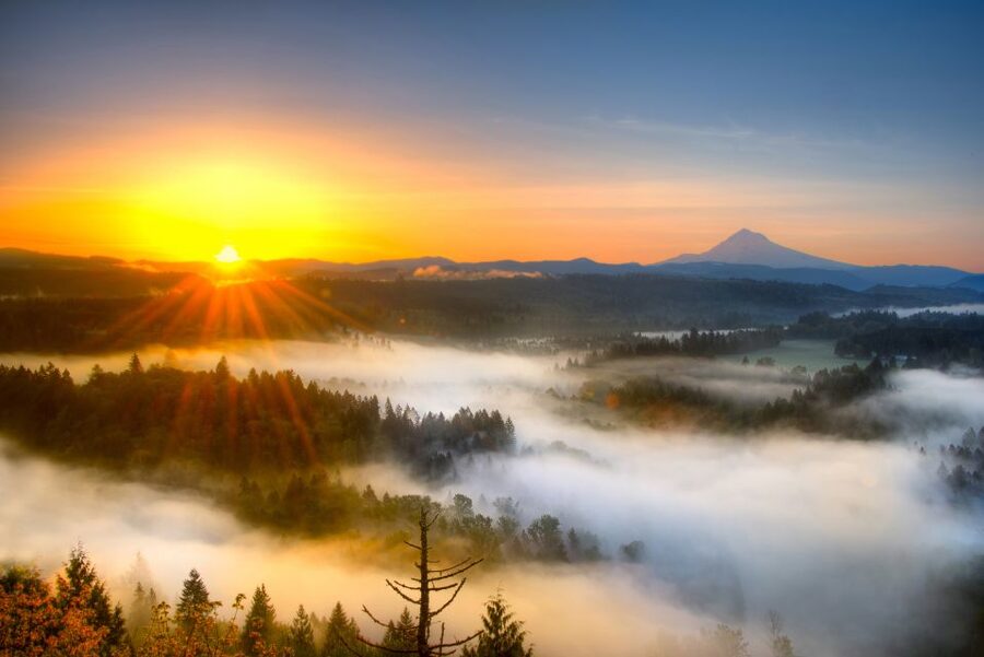 Portland: Flightseeing Tour Mount Hood - What You See at the Peak on a Clear Day