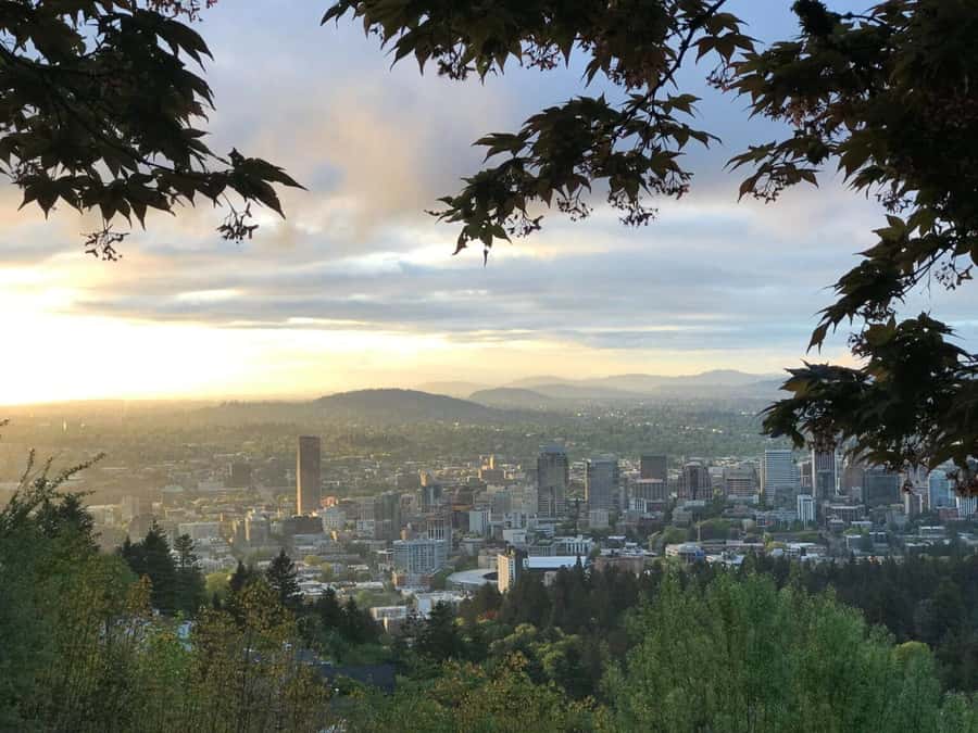 Portland: Forest Park Guided Hike with Witches Castle - Key things to know before you go