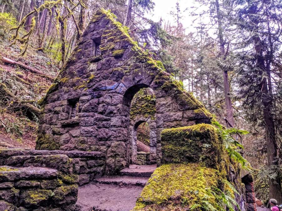 Portland: Forest Park Guided Hike with Witches Castle - Afternoon hike from Goose Hollow, the walk that changes neighborhoods first