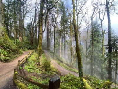 Forest Park Guided Hike with Witches Castle