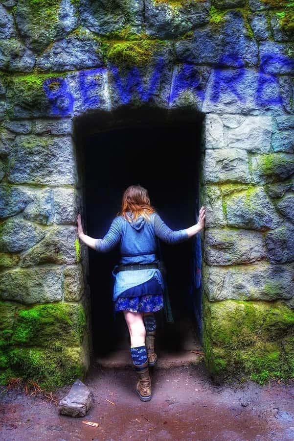 Portland: Forest Park Guided Hike with Witches Castle - Price and value for the $65 guided hike