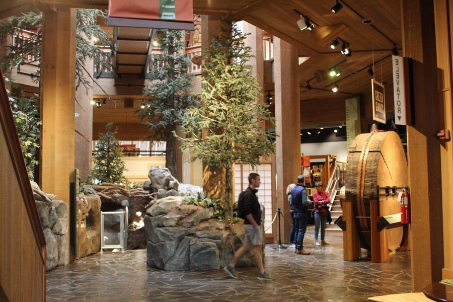 Portland: Morning City Highlights Tour - Why this Portland morning highlights tour feels like a good deal