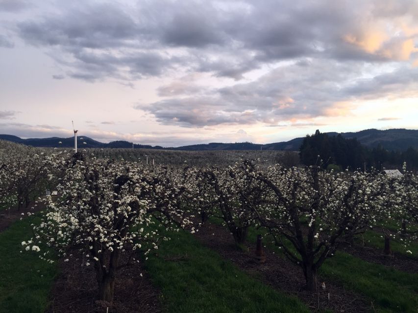 Portland: Mount Hood Wine and Waterfalls Full-Day Tour - Should you book the Portland Mount Hood Wine and Waterfalls tour?