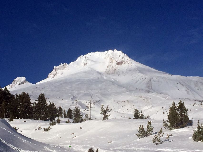 Portland: Mount Hood Wine and Waterfalls Full-Day Tour - From Portland to the Willamette Valley in a Mercedes Sprinter