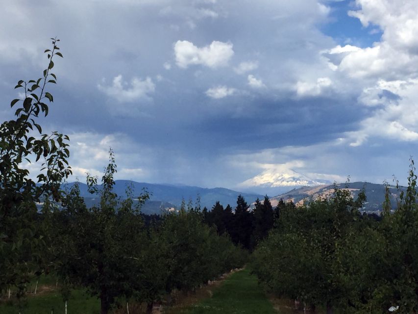 Portland: Mount Hood Wine and Waterfalls Full-Day Tour - Another winery in the Gorge or Columbia Valley, plus the drive through basalt cliffs