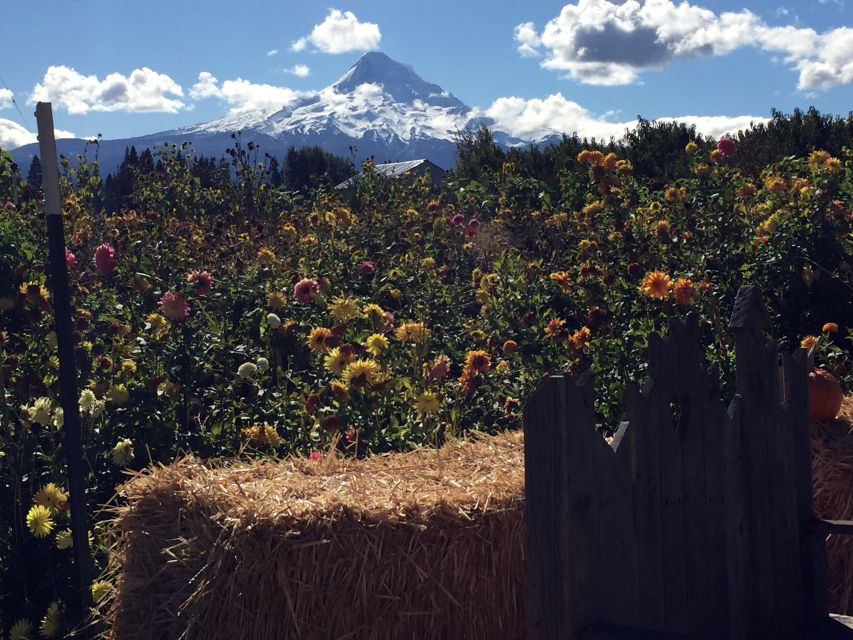 Portland: Mount Hood Wine and Waterfalls Full-Day Tour - Multnomah Falls and Benson Bridge, half an hour done right