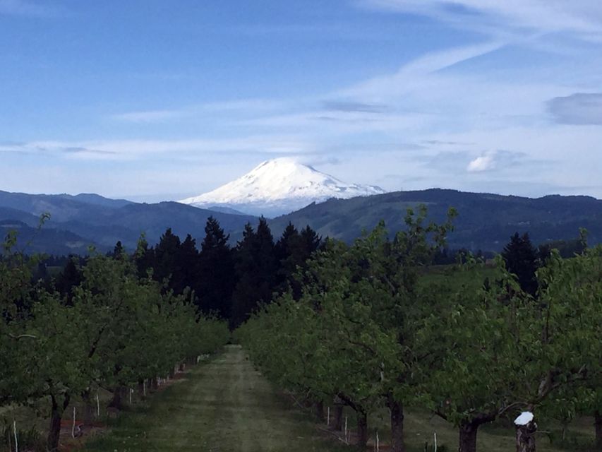 Portland: Mount Hood Wine and Waterfalls Full-Day Tour - Value check: is $179 worth it for an 8-hour day?