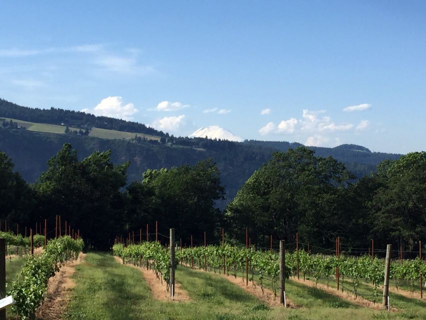 Portland: Mount Hood Wine and Waterfalls Full-Day Tour - Who this tour suits best, and who should look twice