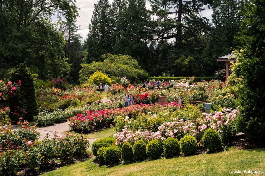 Portland, Oregon: City Highlights Tour with Aerial Tram Ride - First Stop: Director Park and a Clear Downtown Game Plan