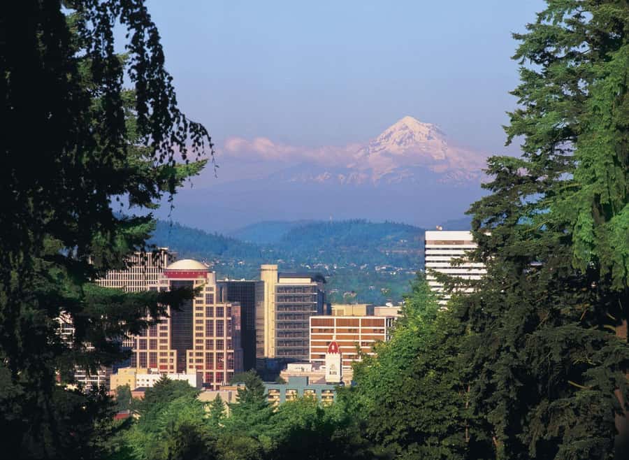 Portland, Oregon: Pink Trolley Hop-On Hop-Off Tour - Riding the Route: Downtown to Rose City Highlights