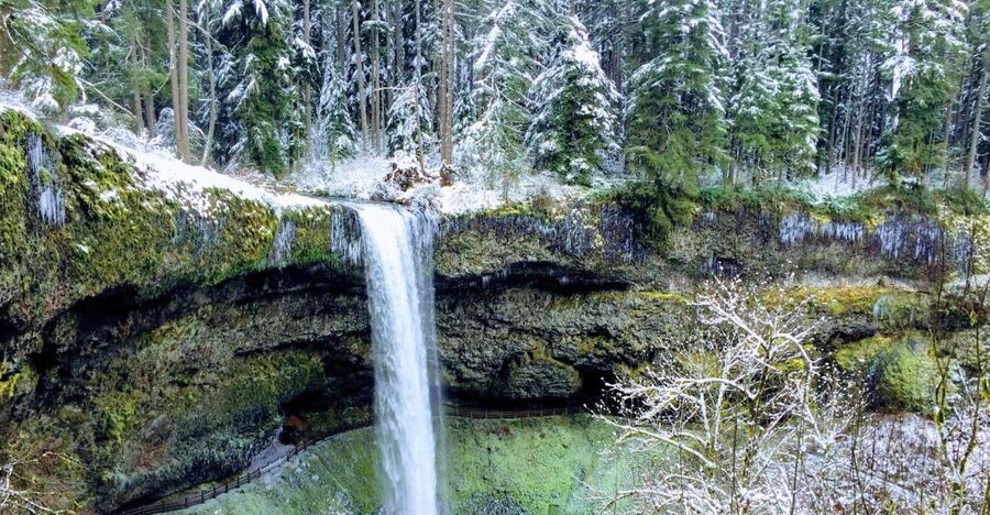 Portland: Silver Falls Hike - Key highlights to know before you go